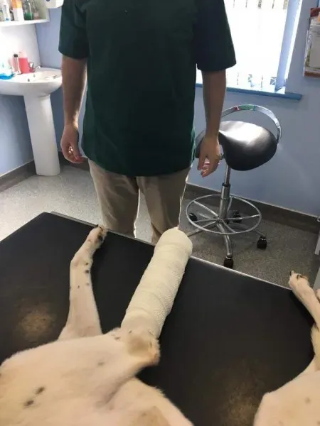 FB IMG 1490077782502