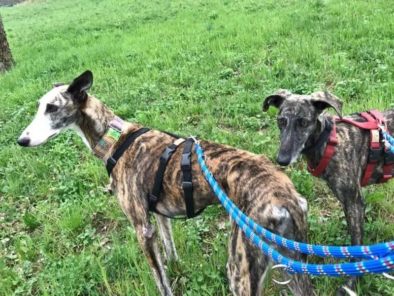 FB IMG 1490138983338