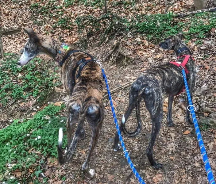 FB IMG 1490139001773