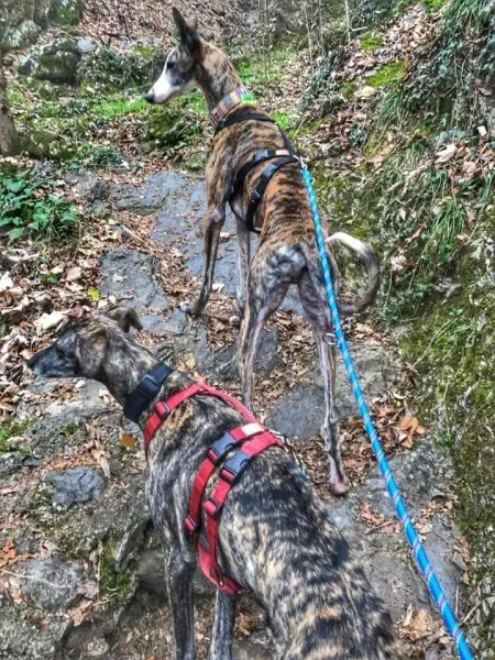 FB IMG 1490139007666