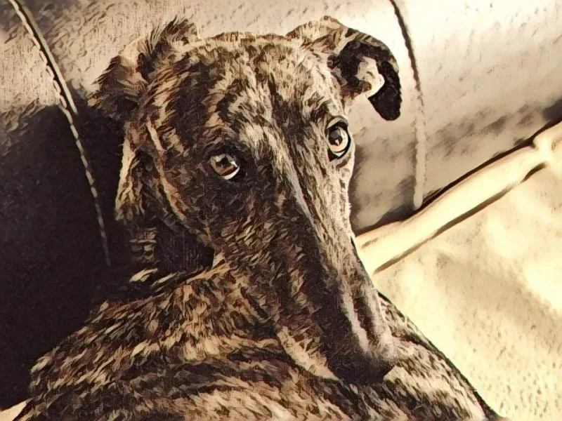 FB IMG 1490822491137