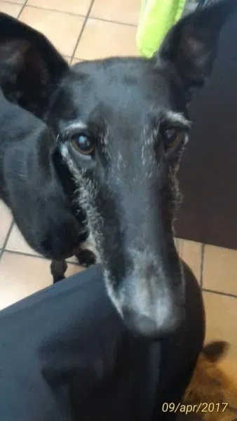 FB IMG 1492108661792