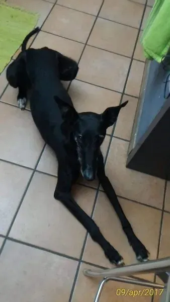 FB IMG 1492108676537