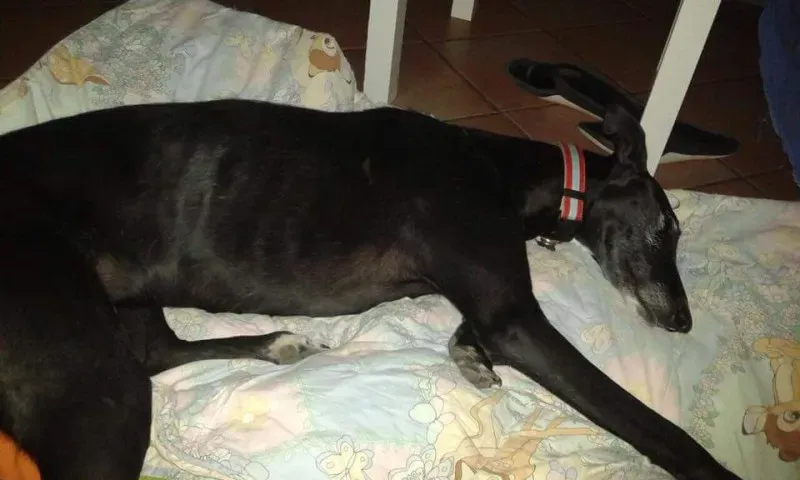 FB IMG 1492108687442