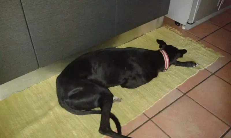 FB IMG 1492108727887