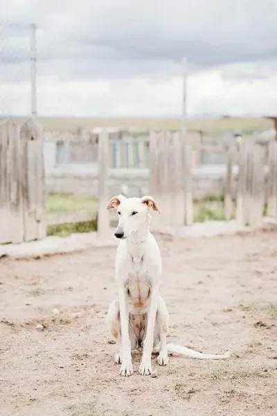 FB IMG 1492112118966