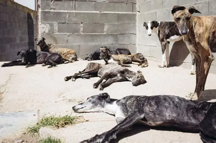 FB IMG 1492112130664 1