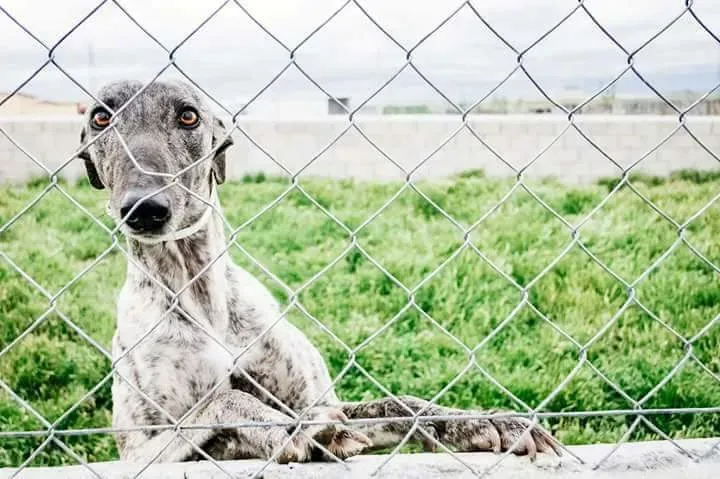 FB IMG 1492112158599 1