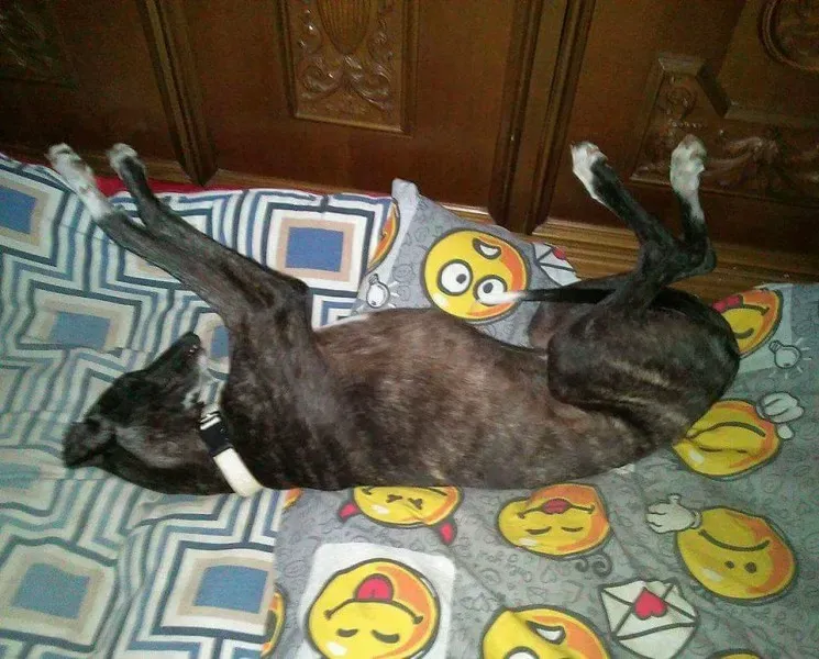 FB IMG 1492145701097