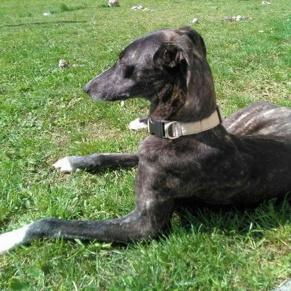 FB IMG 1492145710994