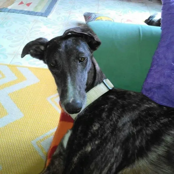 FB IMG 1492145719669