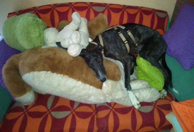 FB IMG 1492145732929