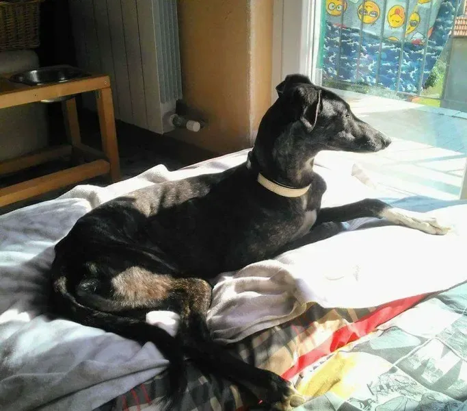 FB IMG 1492145743756