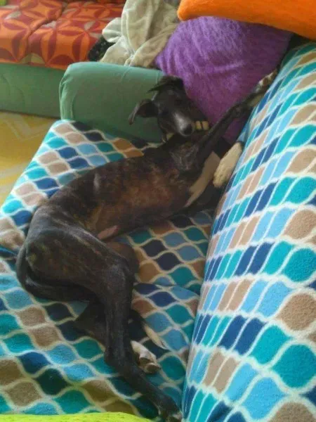 FB IMG 1492145765221