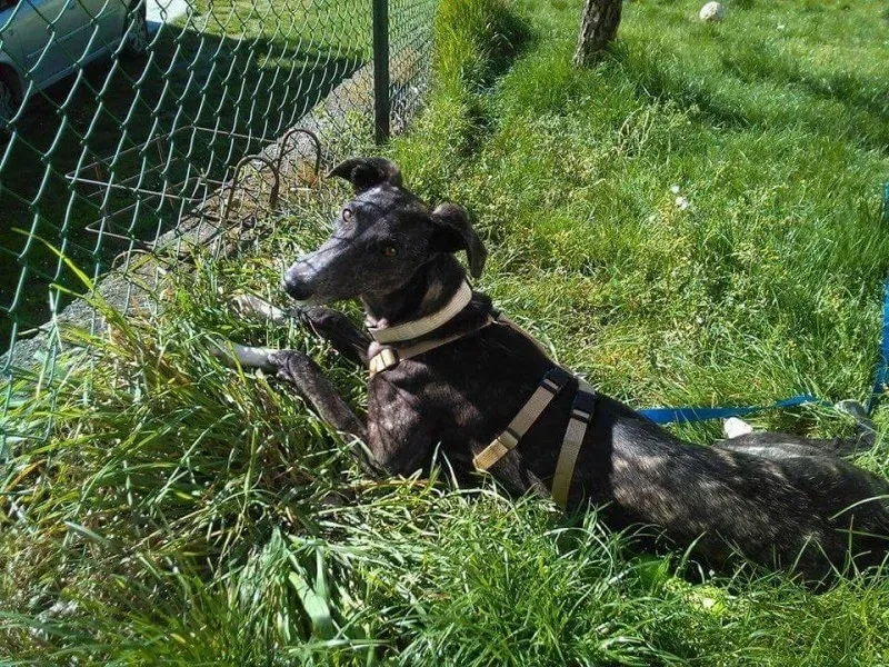 FB IMG 1492145779677