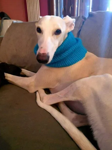 FB IMG 1492273493076