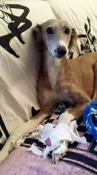 FB IMG 1492273798414