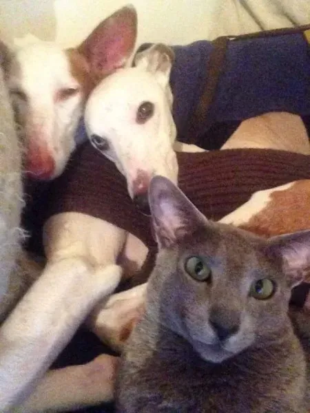 FB IMG 1492274262704