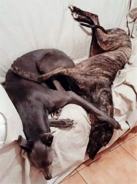 FB IMG 1492279327170