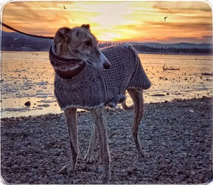 FB IMG 1492281133267