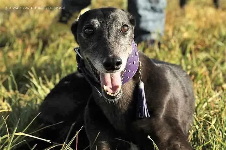 FB IMG 1492281554442