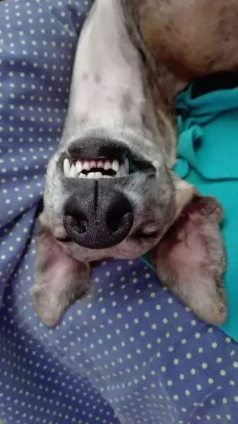 FB IMG 1492281722833