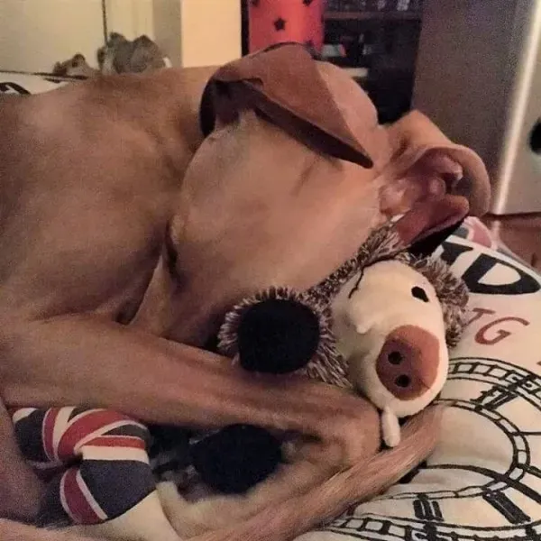 FB IMG 1492282726665