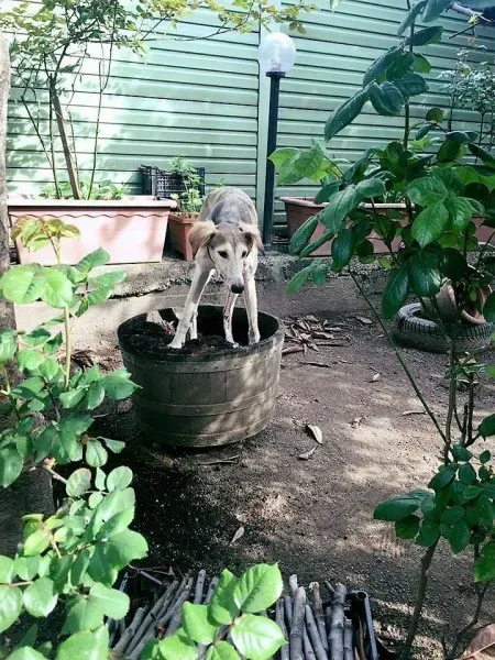 FB IMG 1492284291702