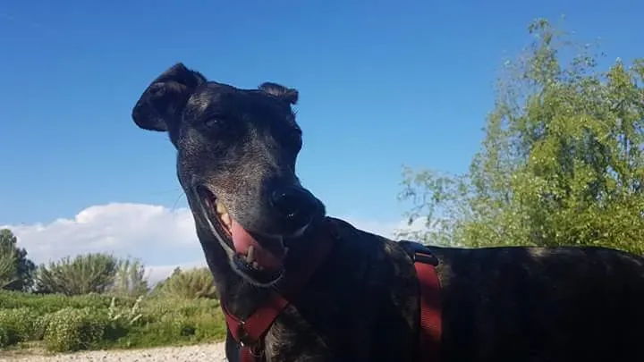 FB IMG 1492454953175