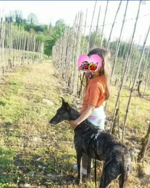 FB IMG 1492455247308