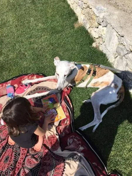 FB IMG 1492456543823