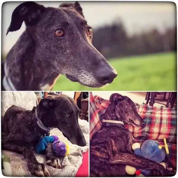 FB IMG 1492456745912