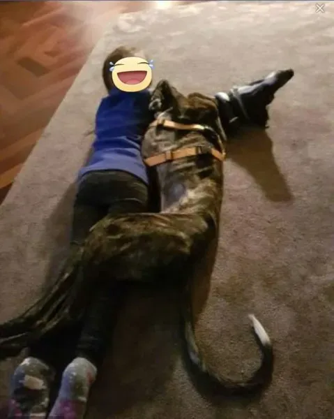 FB IMG 1492456873034