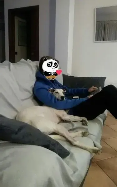 FB IMG 1492458197938 4