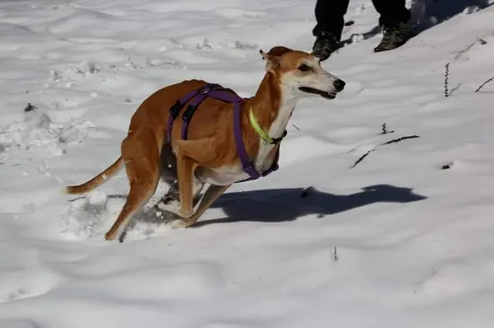 FB IMG 1492579150906