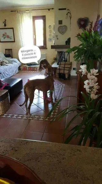 FB IMG 1492608090989