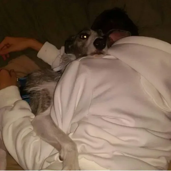 FB IMG 1492608360646