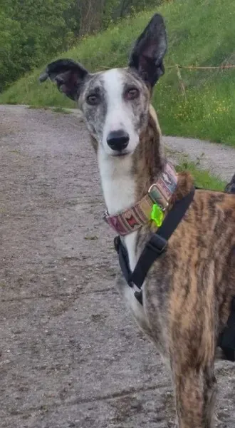 FB IMG 1492979125663