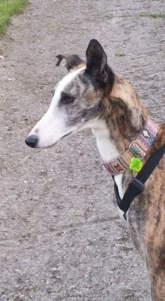 FB IMG 1492979129876