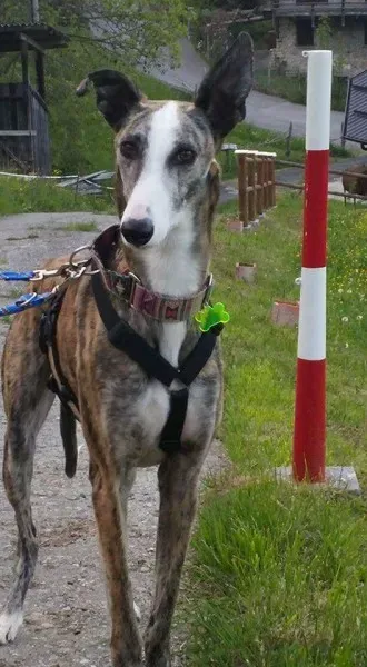 FB IMG 1492979133165