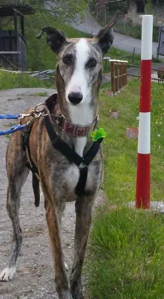 FB IMG 1492979136647