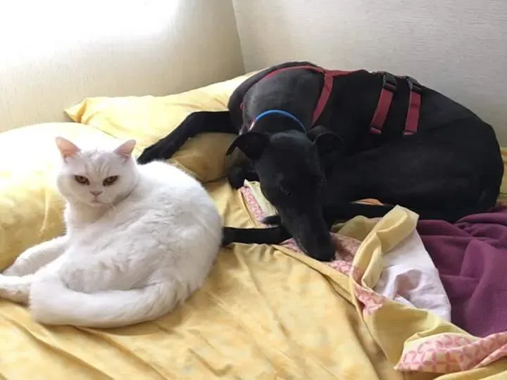 FB IMG 1493122396415