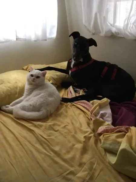 FB IMG 1493122399928