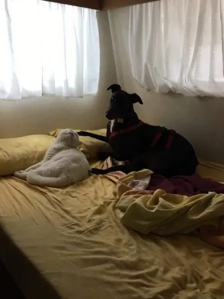 FB IMG 1493122402741