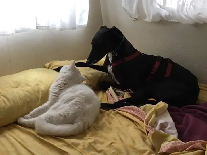 FB IMG 1493122405673