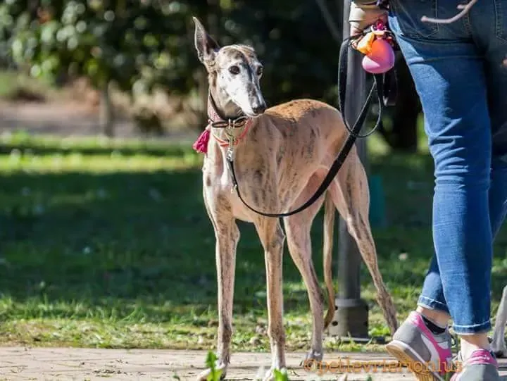 FB IMG 1493214216676