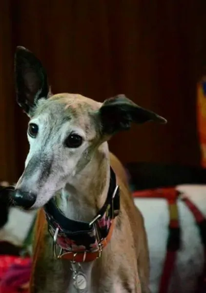 FB IMG 1493214219247 1