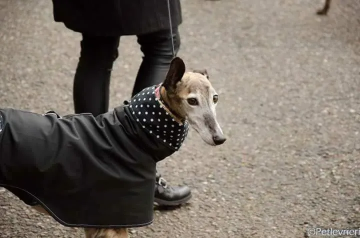 FB IMG 1493214221738 1