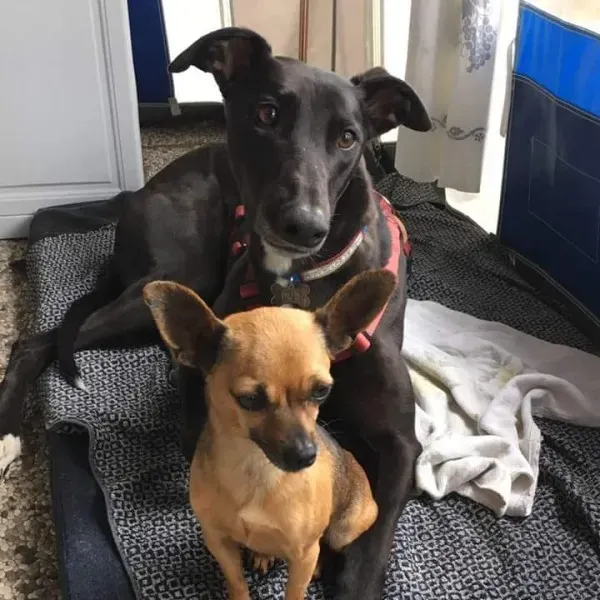 FB IMG 1493316595122