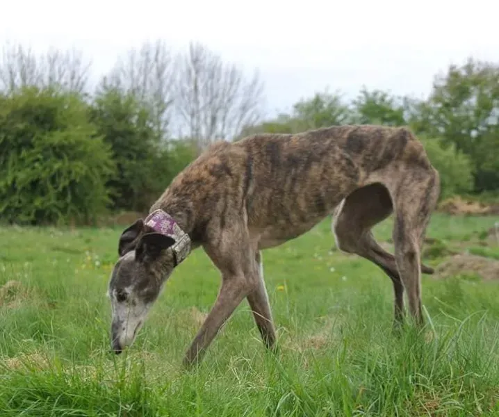 FB IMG 1493567226776